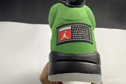 CK6631-307 Air Jordan Jordan “Oregon” Air 5 DailyWear 598 5 0816